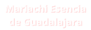 Mariachi Esencia de Guadalajara